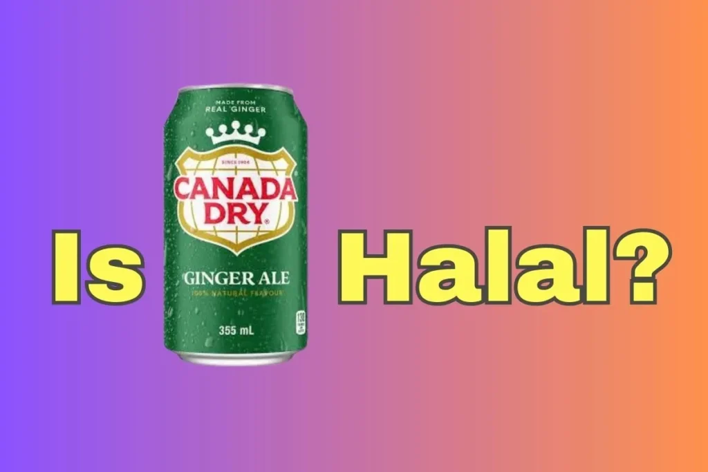 en vedette - Canada Dry est-il halal