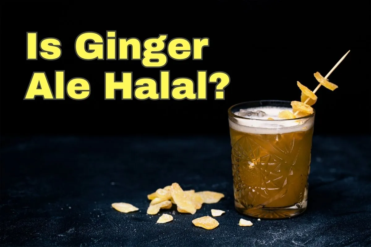 featured - is ginger ale halal