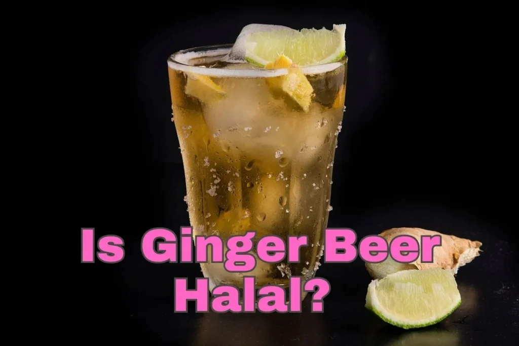 en vedette - la bière au gingembre est-elle halal
