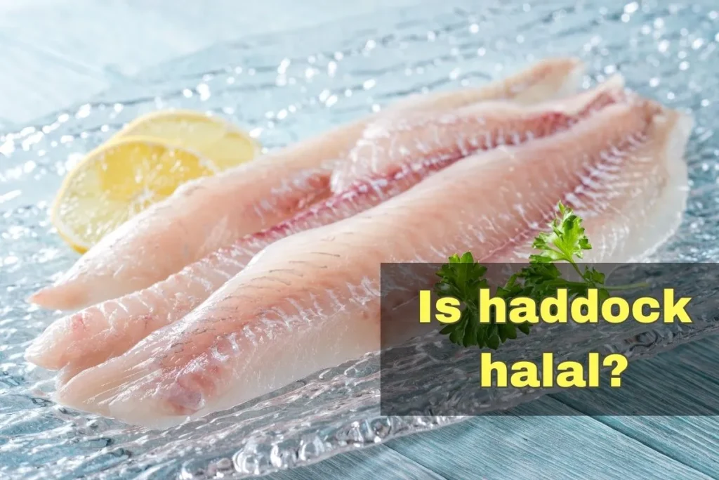 en vedette - l'aiglefin est-il halal