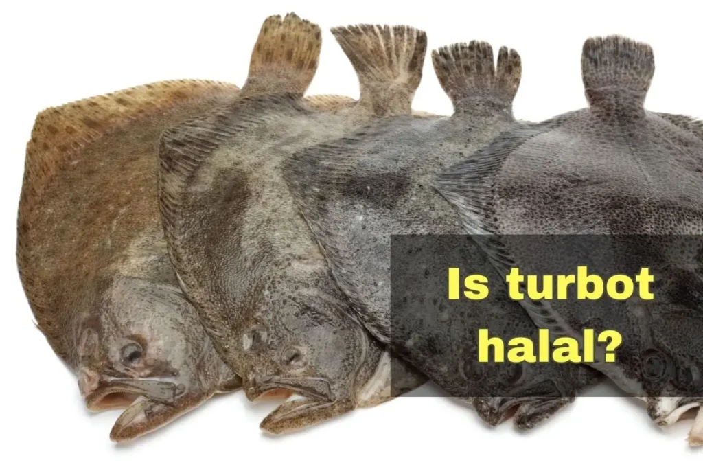 featured - is turbot halal
