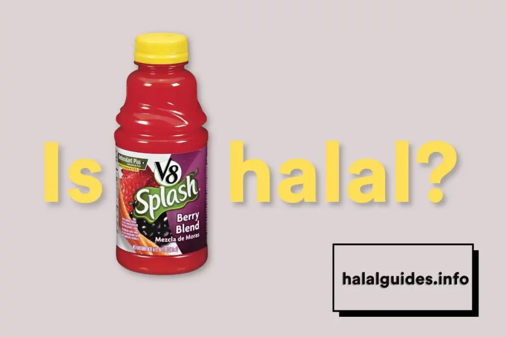 aanbevolen is V8 Splash halal