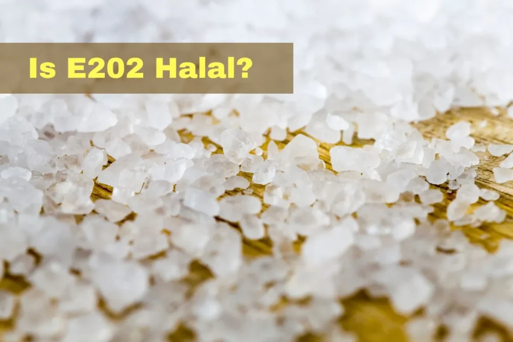 featured - Is e202 Halal or Haram?