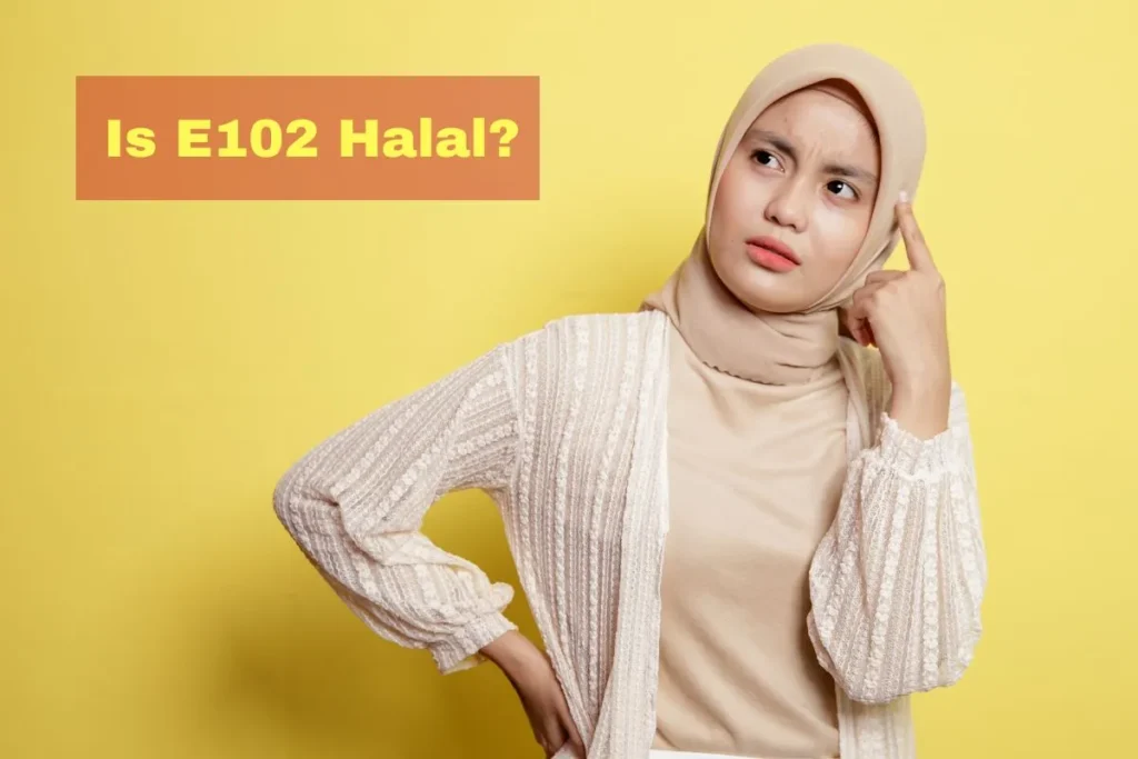 en vedette - Le E102 est-il halal ou haram