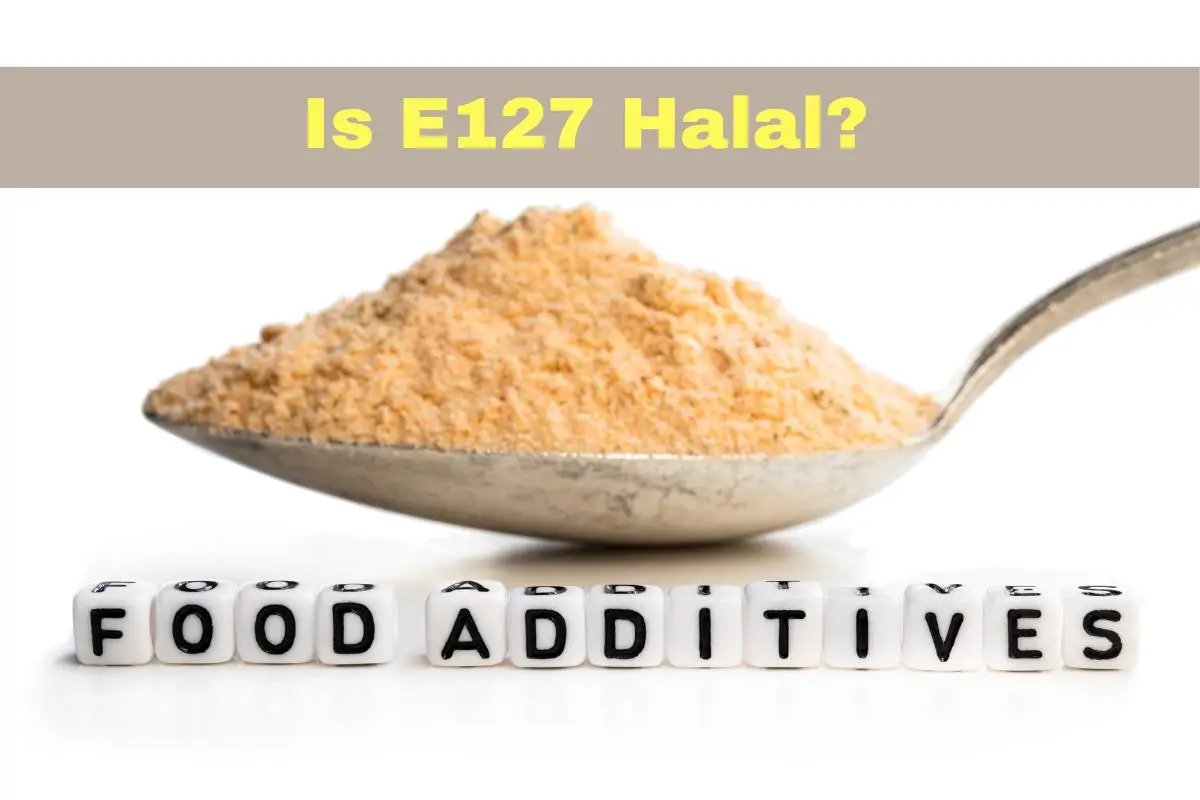 en vedette - L'e127 est-il halal ?