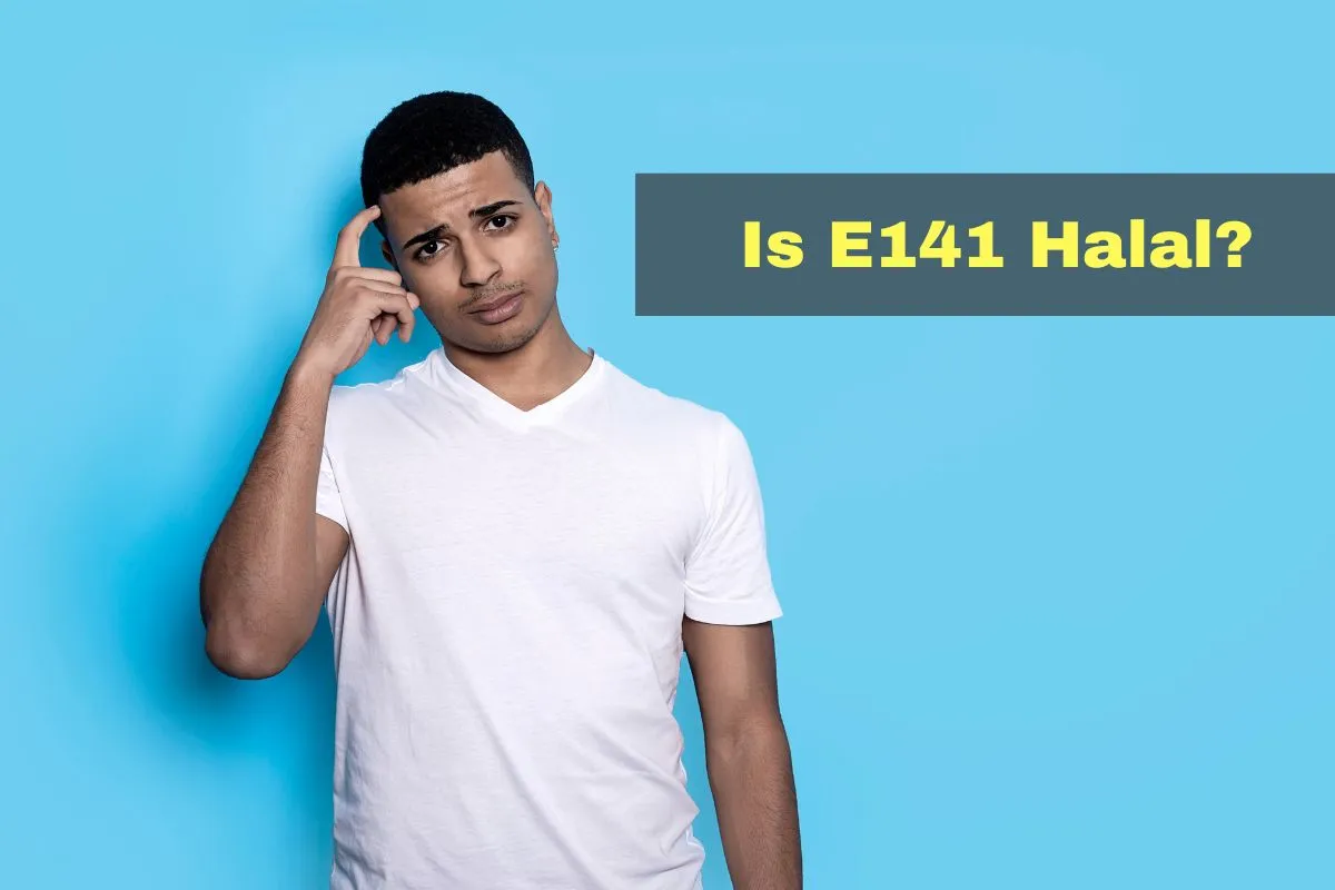 featured - Is E141 Halal or Haram?