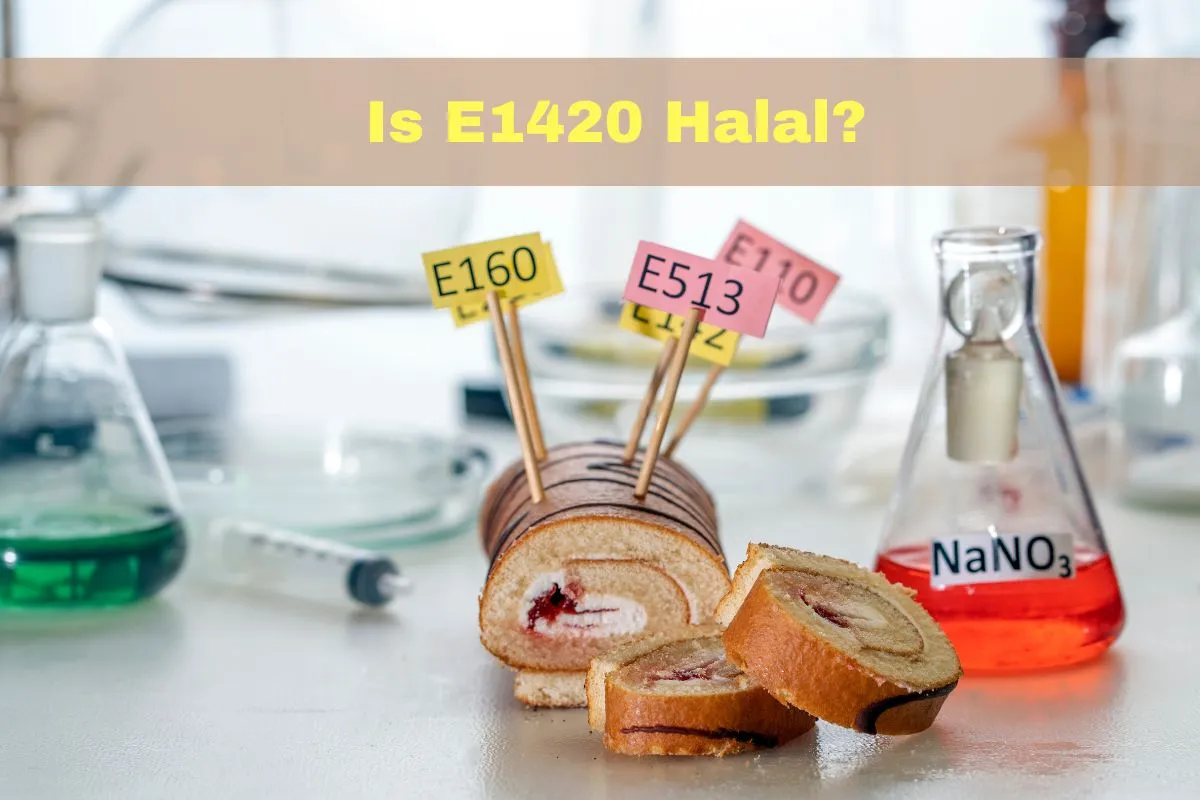 aanbevolen - Is E1420 halal of haram?