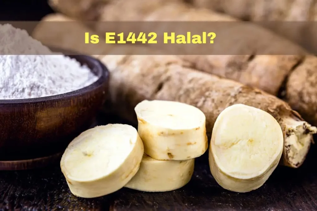 vorgestellt - Ist E1442 Halal oder Haram?