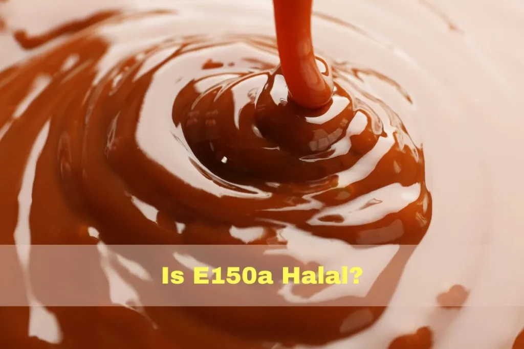 aanbevolen - Is E150a halal of haram?