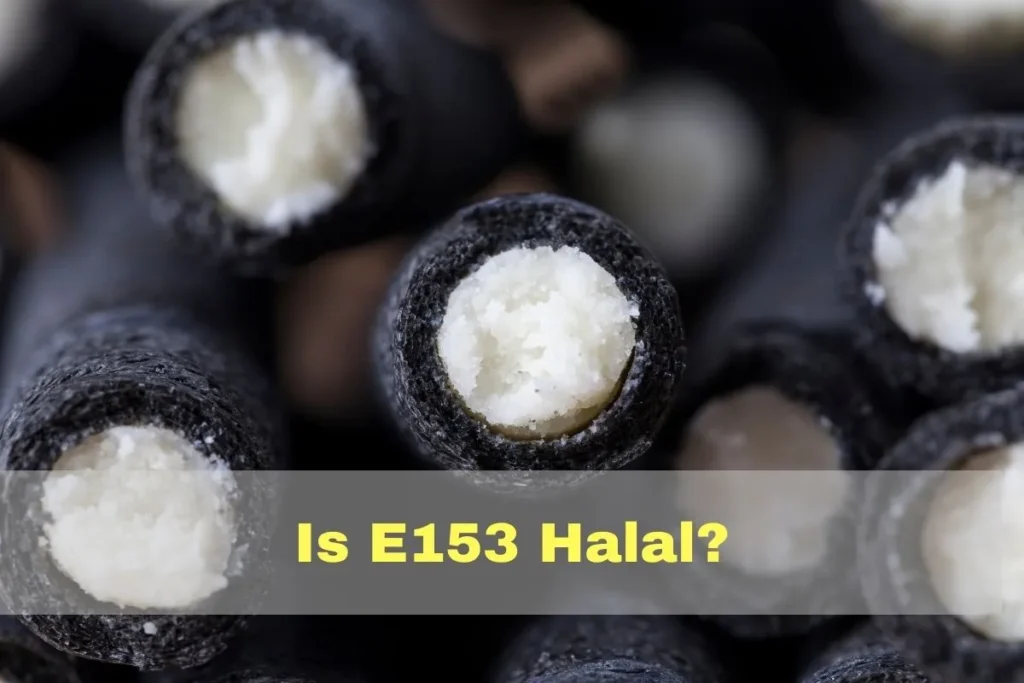 vorgestellt - Ist E153 Halal oder Haram?