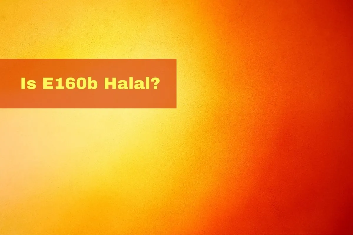 aanbevolen - Is E161g halal of haram?