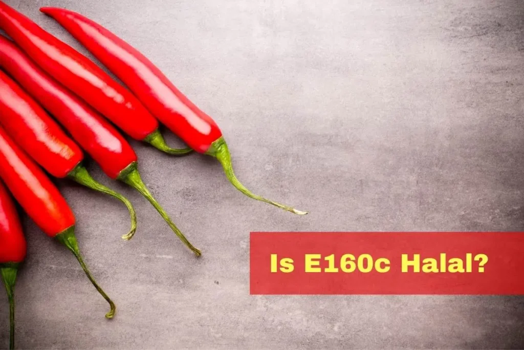 vorgestellt - Ist E160c Halal oder Haram?