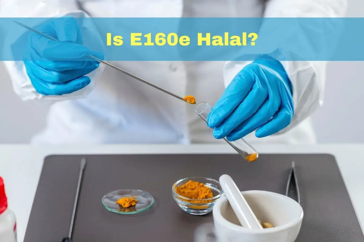 aanbevolen - Is E160e halal of haram?