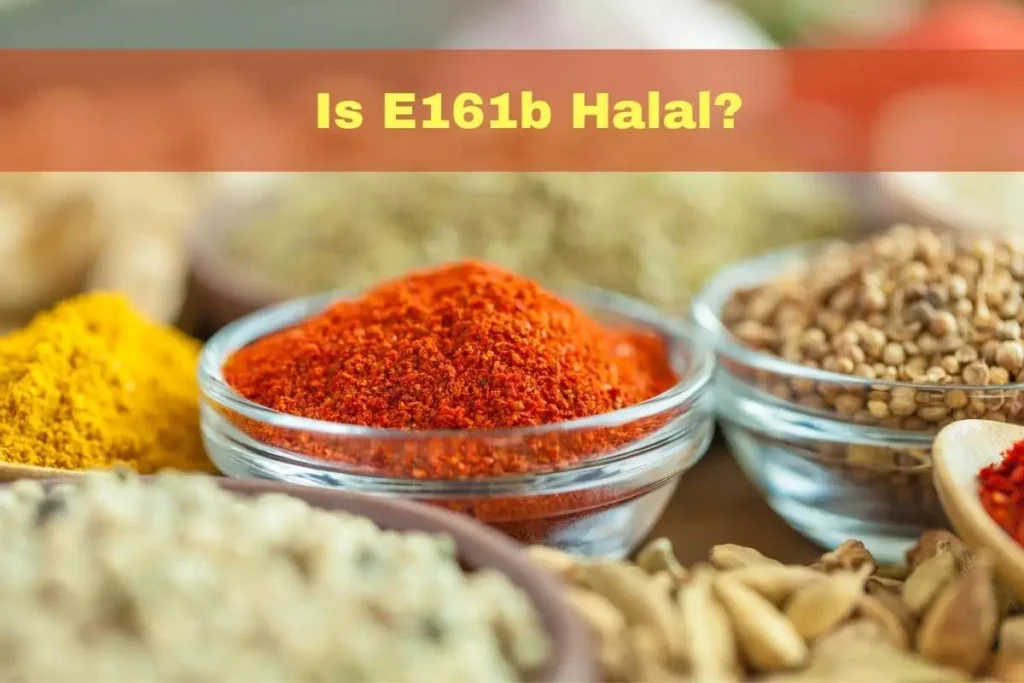 aanbevolen -Is E161b halal of haram?