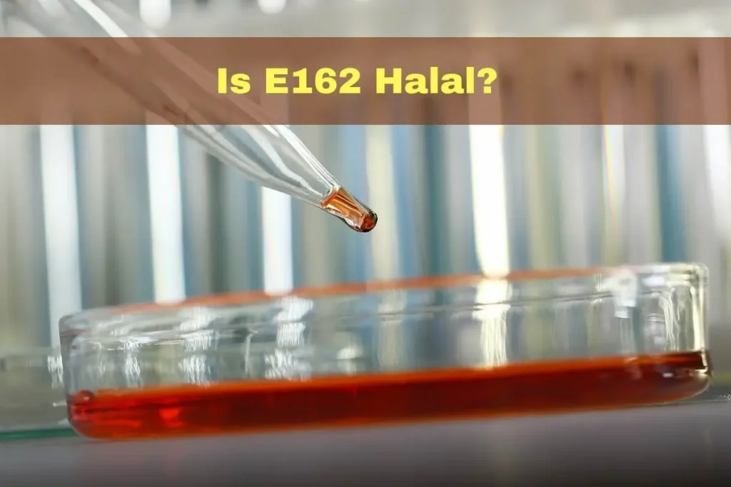 aanbevolen - Is E162 halal of haram?