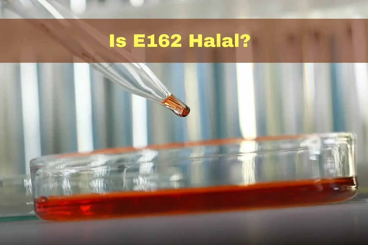 featured - Is E162 Halal or Haram?
