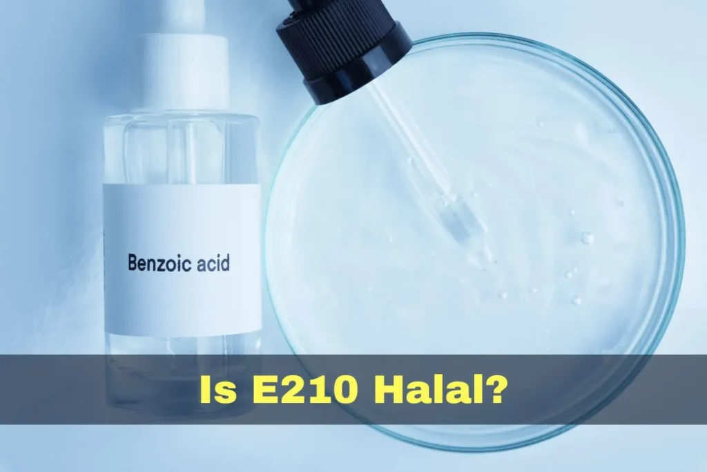 vorgestellt - Ist E210 Halal oder Haram?