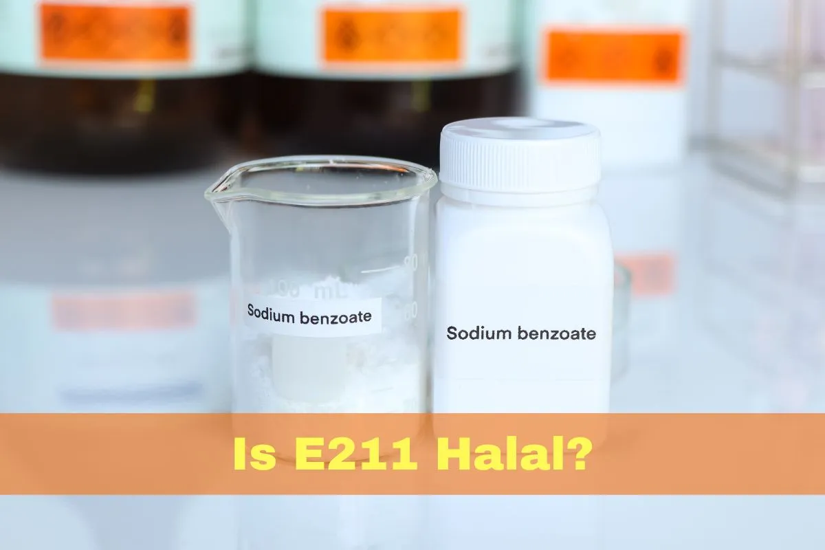 featured - Is E211 Halal or Haram?