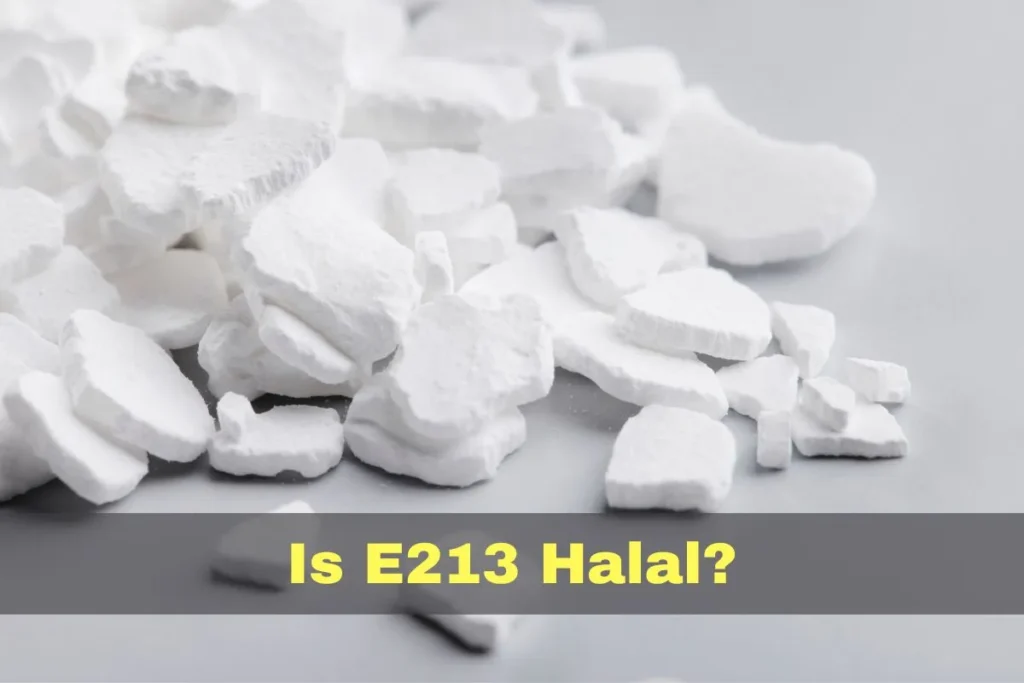aanbevolen - Is E213 halal of haram?