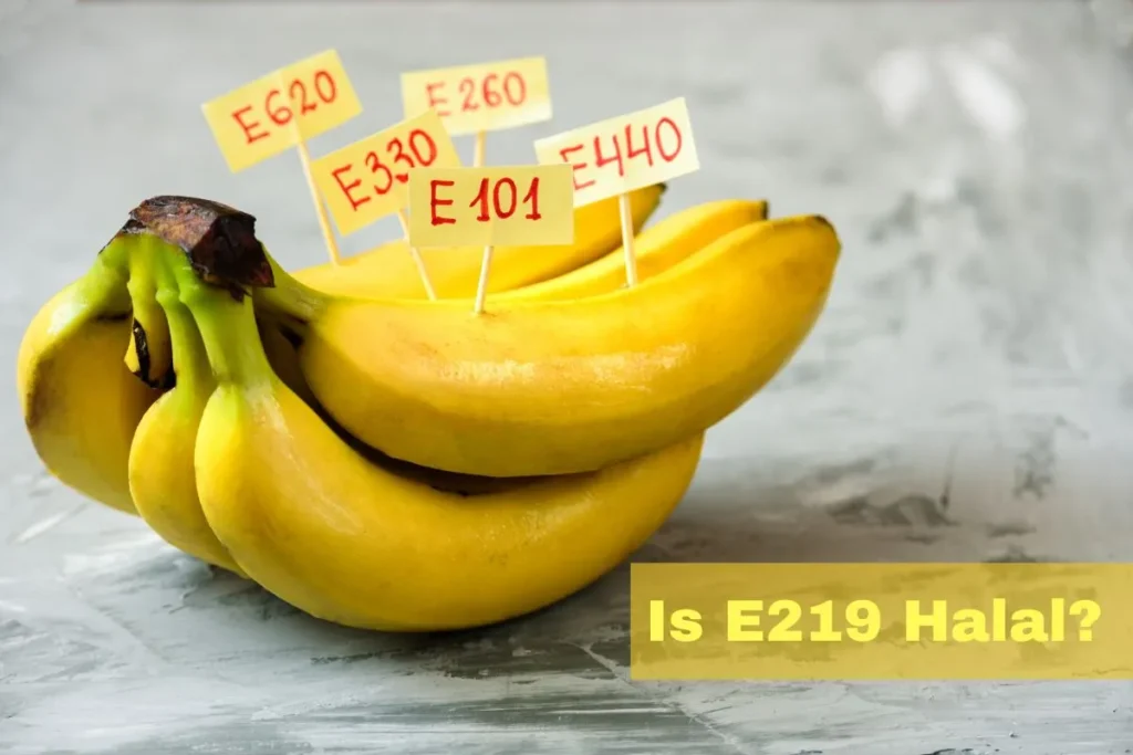 featured - Is E219 Halal or Haram?