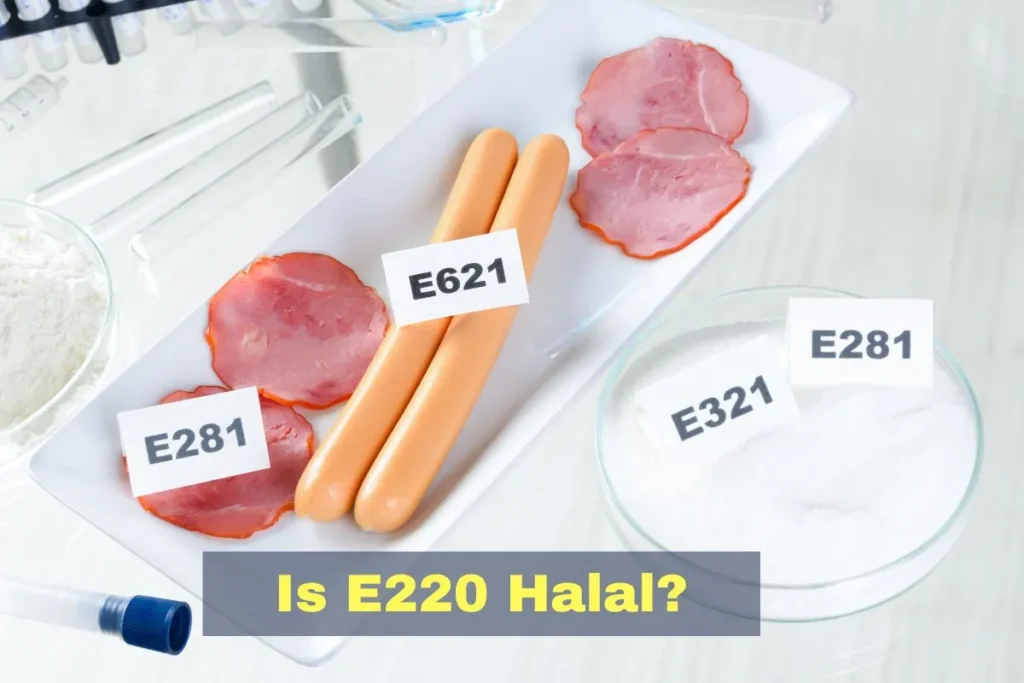 aanbevolen - Is E220 Halal of Haram
