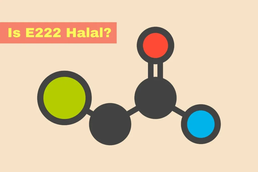 vorgestellt – Ist E222 Halal oder Haram