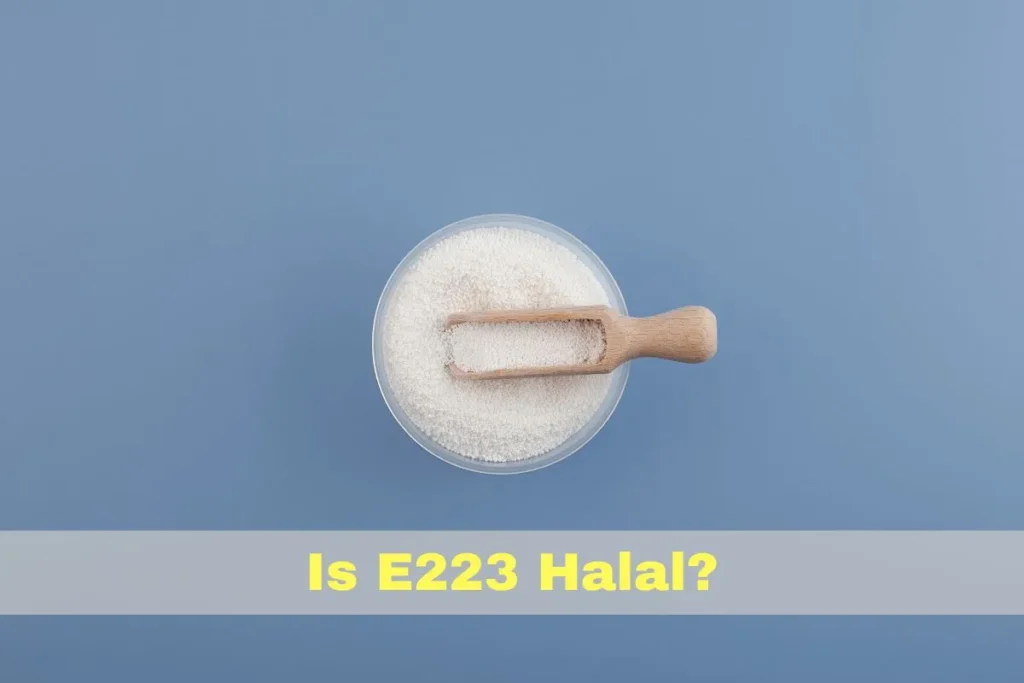 en vedette - Le E223 est-il Halal ou Haram