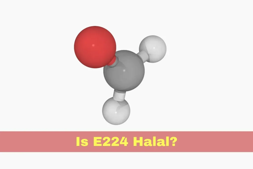 aanbevolen - Is E224 Halal of Haram