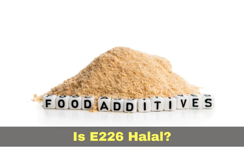 aanbevolen - Is E226 Halal of Haram