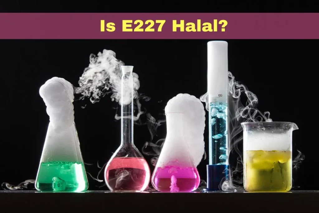 vorgestellt – Ist E227 Halal oder Haram
