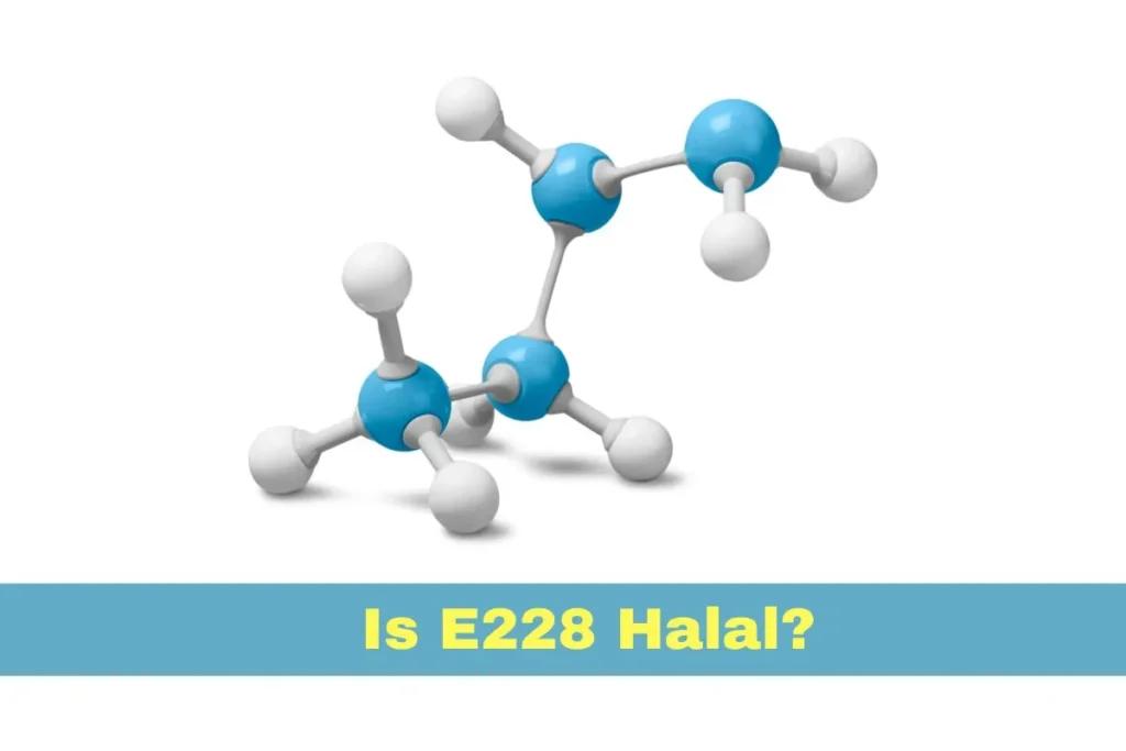 aanbevolen - Is E228 Halal of Haram