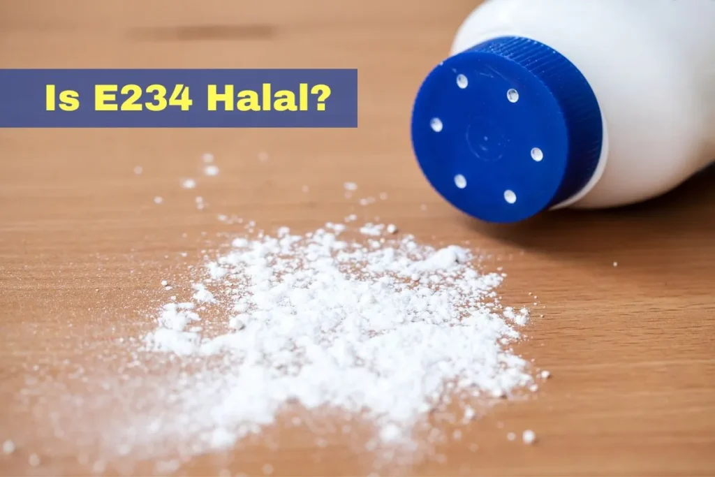 vorgestellt – Ist E234 Halal oder Haram