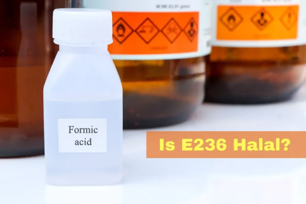 featured - Is E236 Halal or Haram?