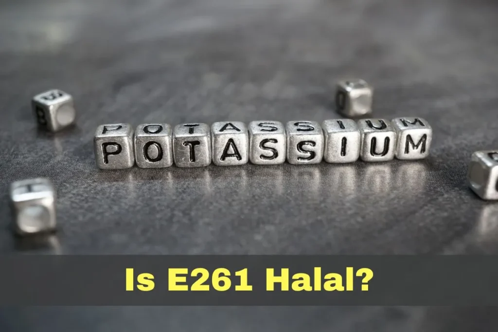featured - Is E261 Halal or Haram?