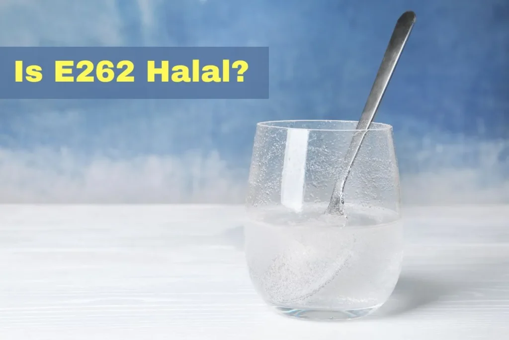 featured - Is E262 Halal or Haram?