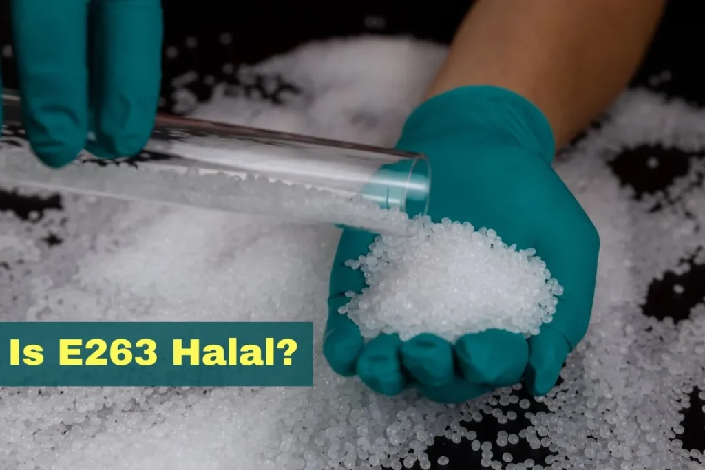 featured - Is E263 Halal or Haram?