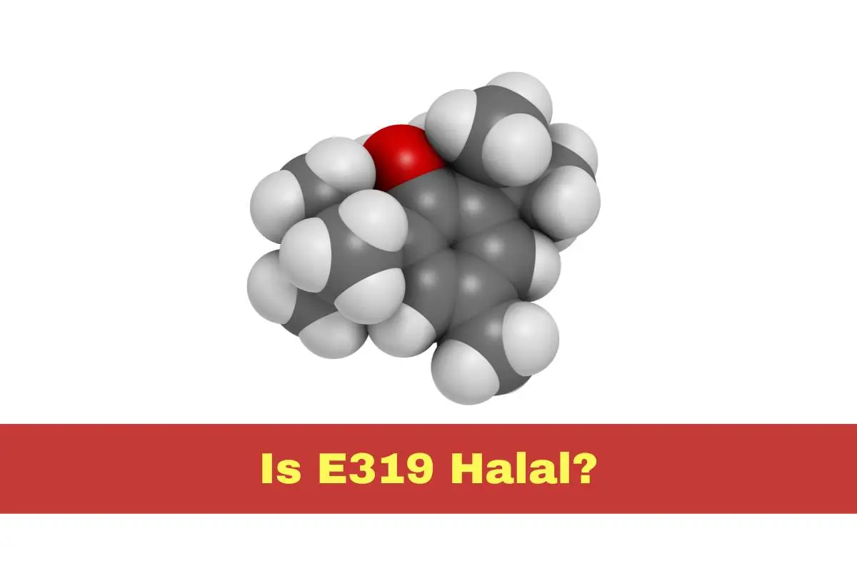 featured - Is E319 Halal or Haram
