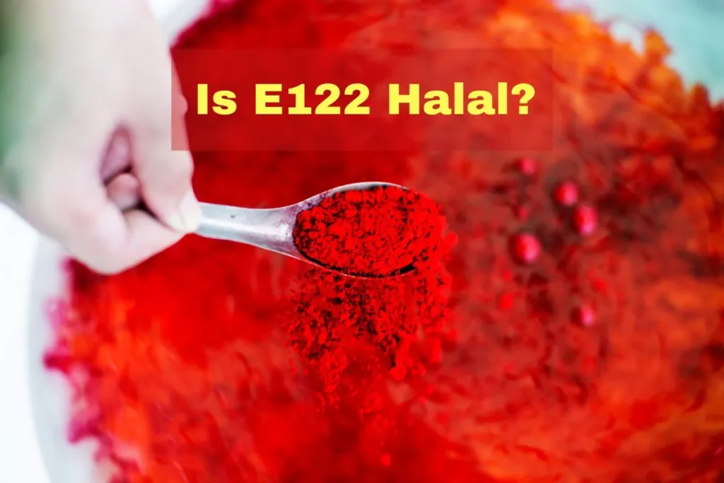 aanbevolen - is e122 halal of haram?