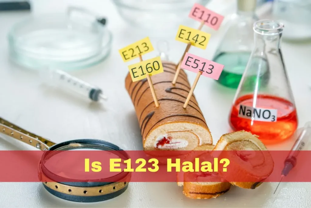 en vedette : le E123 est-il halal ou haram ?
