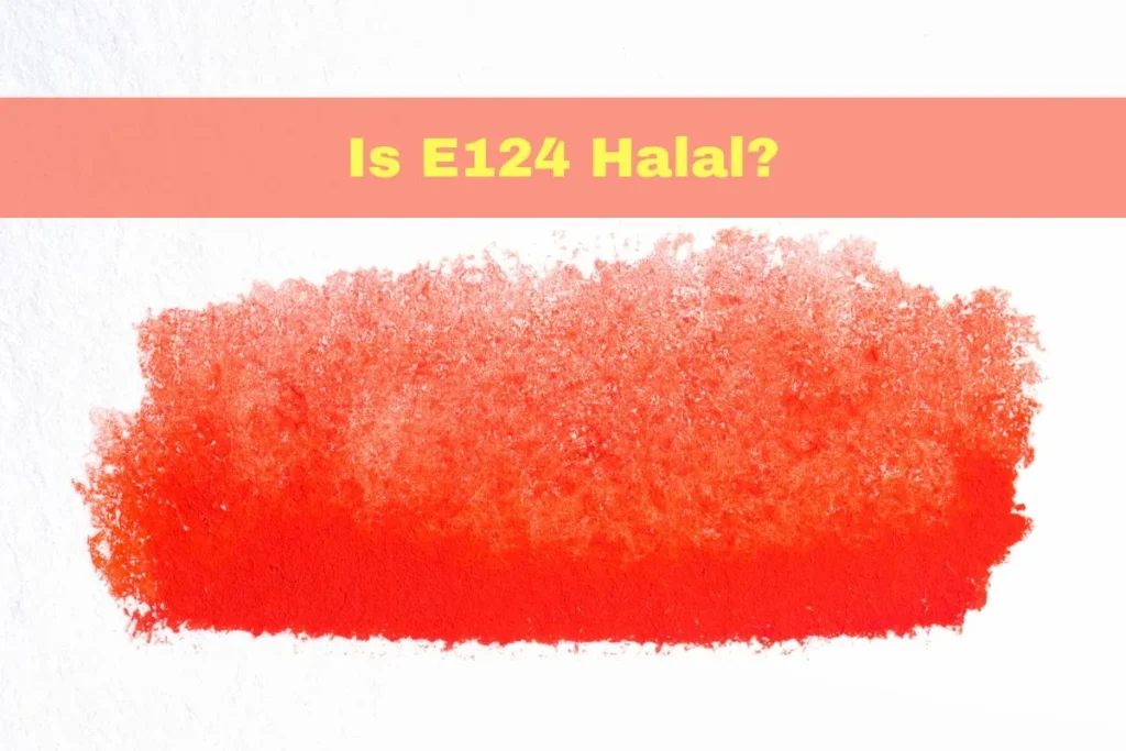 vorgestellt – ist e124 halal oder haram?
