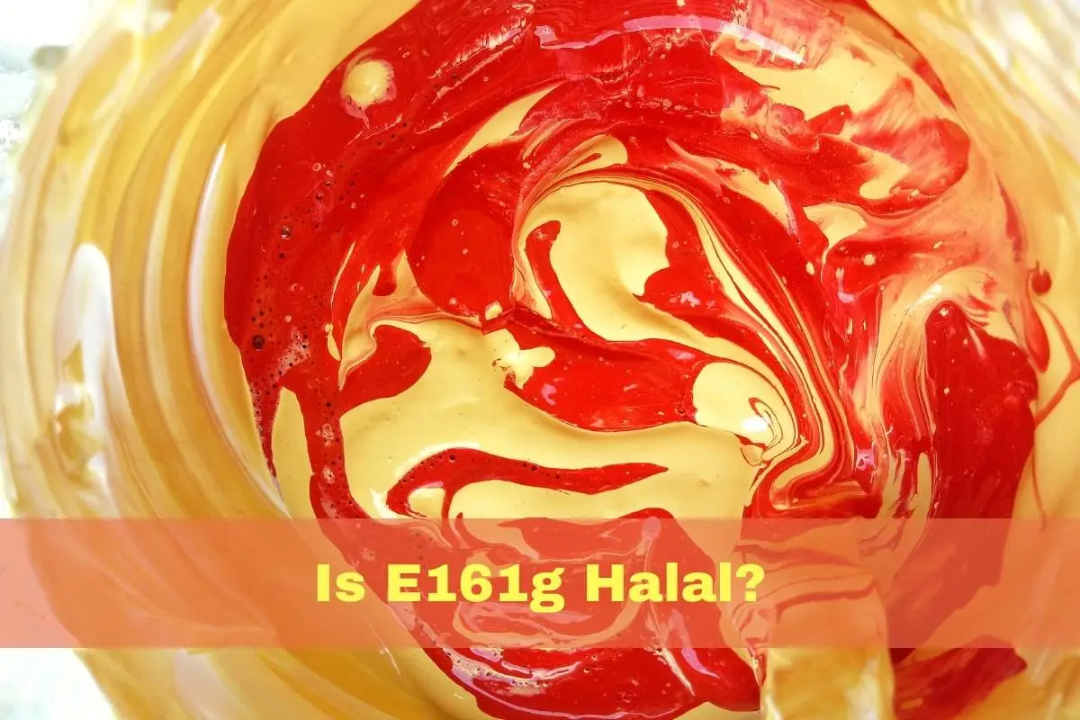 featured - is e161g halal or haram?