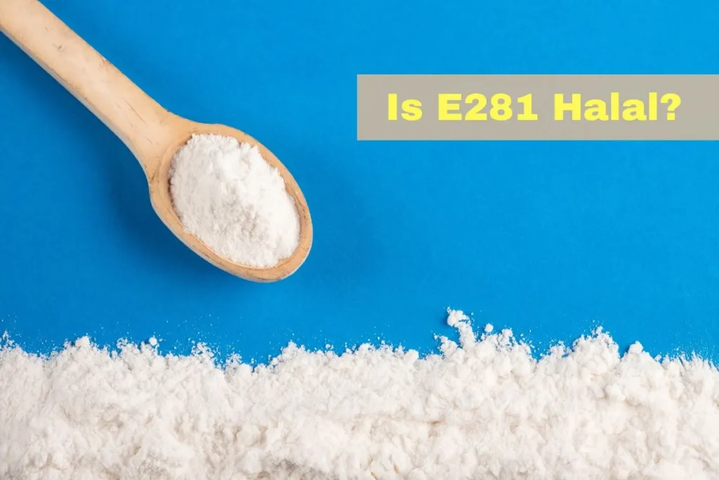 featured - Is E281 Halal or Haram?