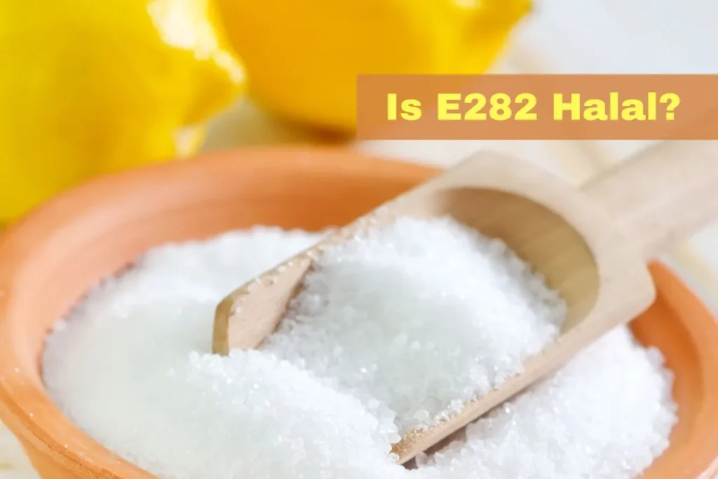 featured - Is E282 Halal or Haram?