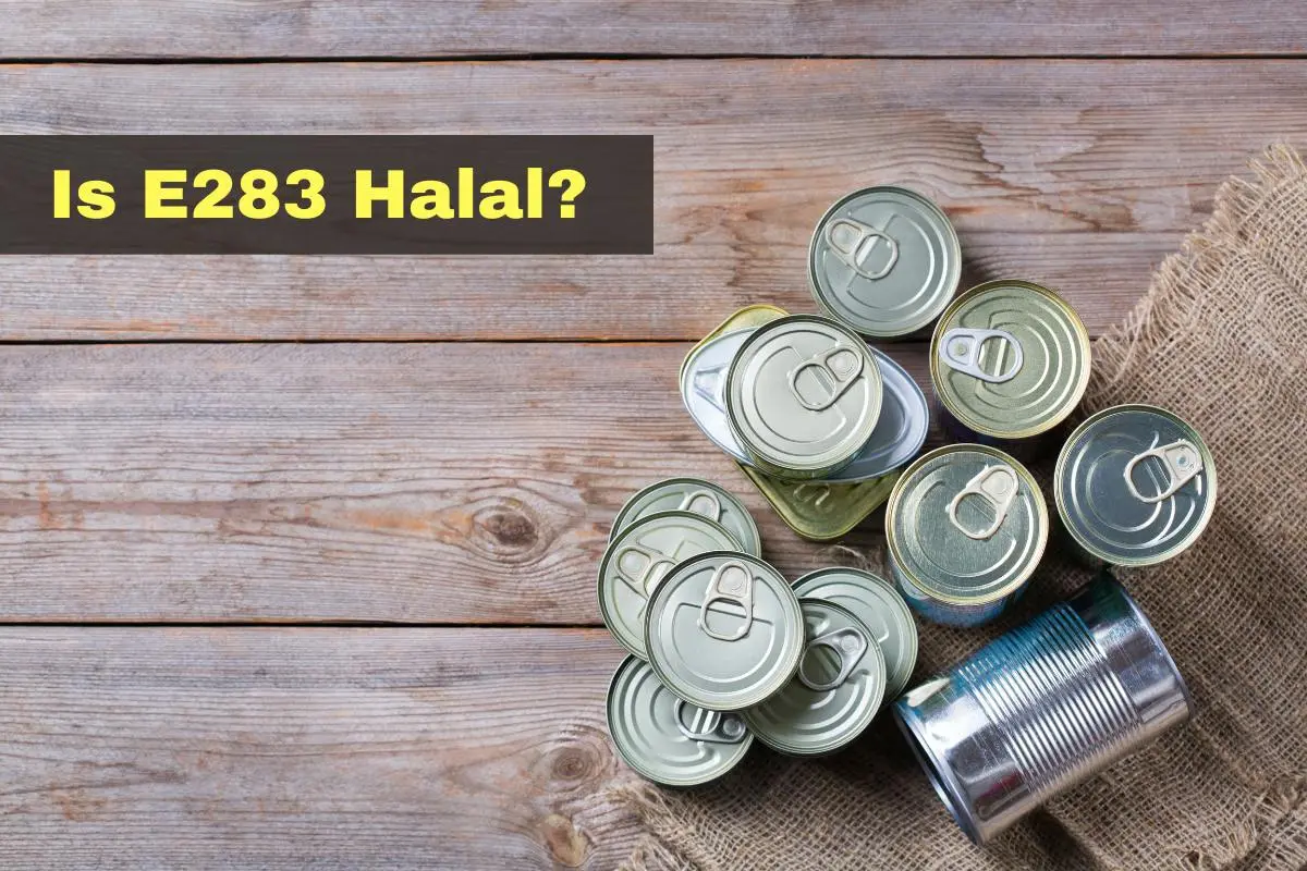 featured - is e283 halal or haram?