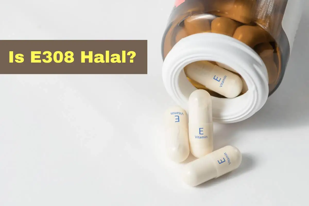 featured - Is E308 Halal or Haram