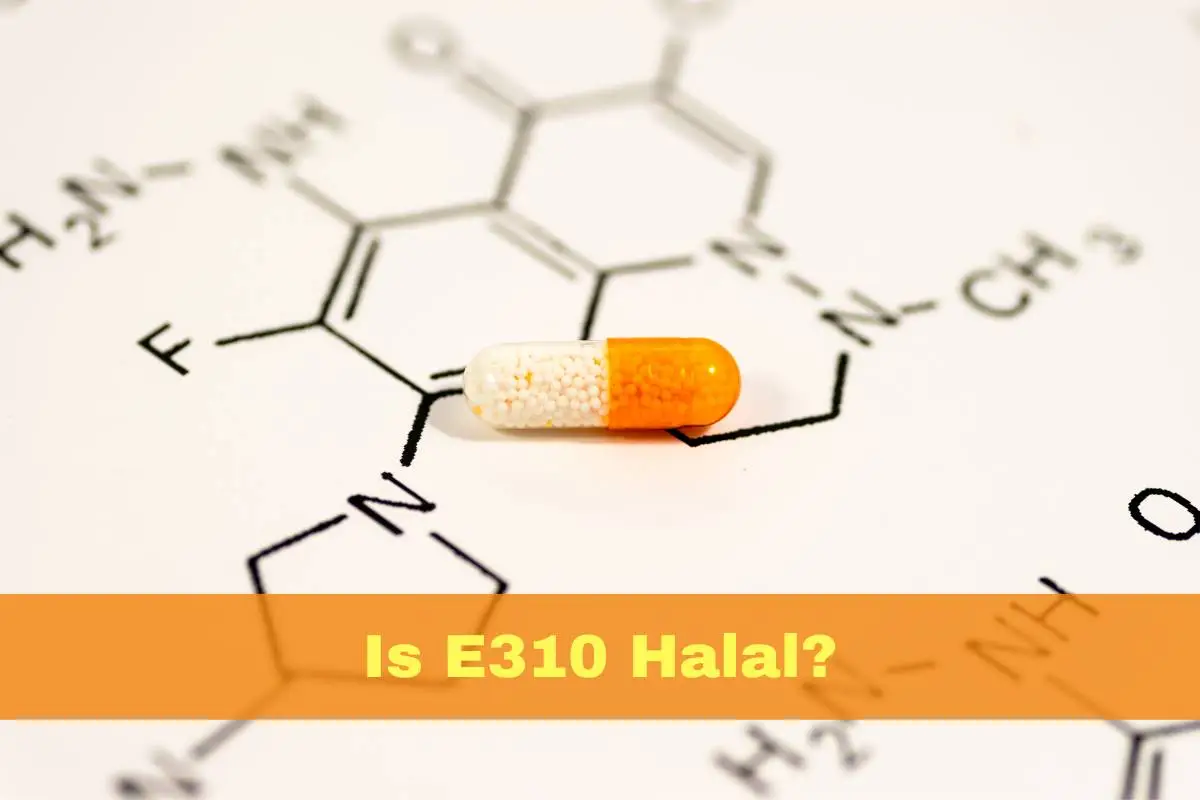 featured - Is E310 Halal or Haram?