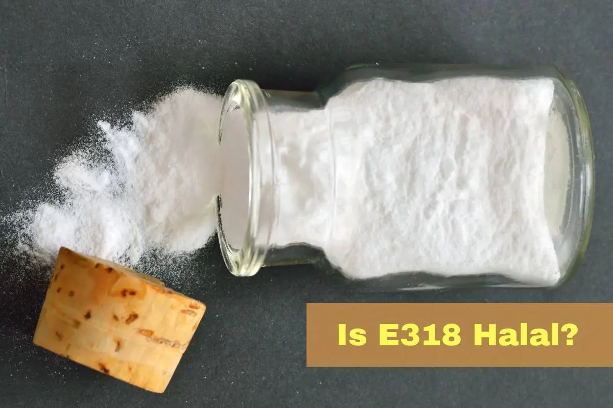 featured - Is E318 Halal or Haram?