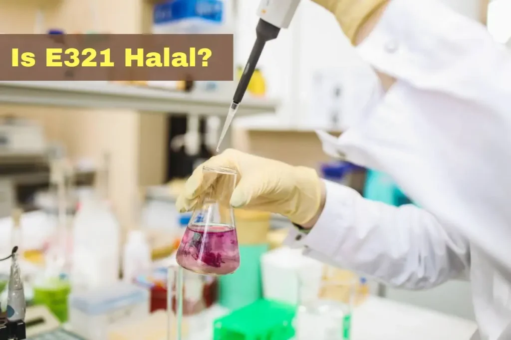 featured - Is E321 Halal or Haram