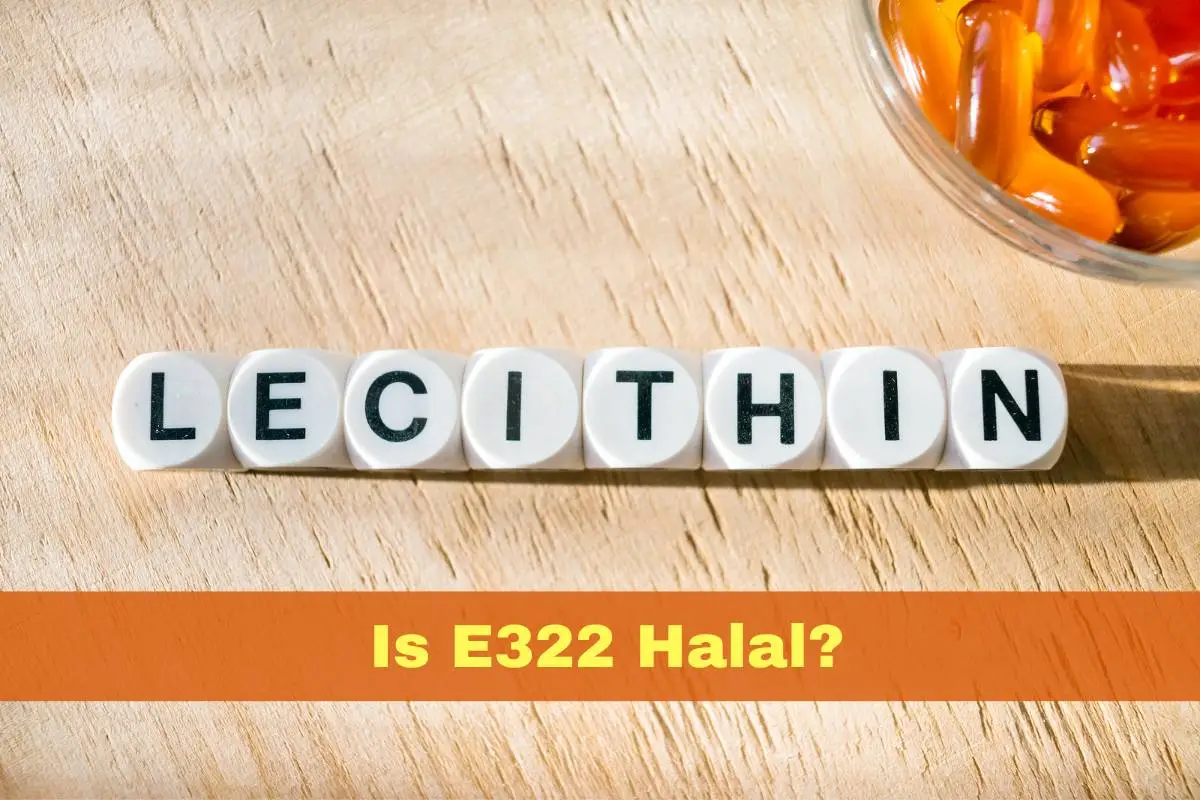 featured - Is E322 Halal or Haram
