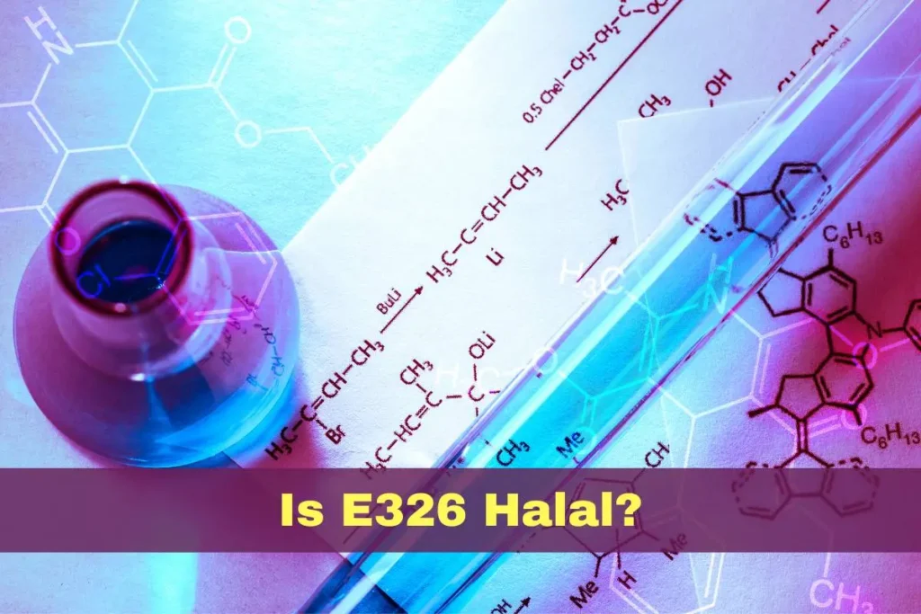 featured - Is E326 Halal or Haram?